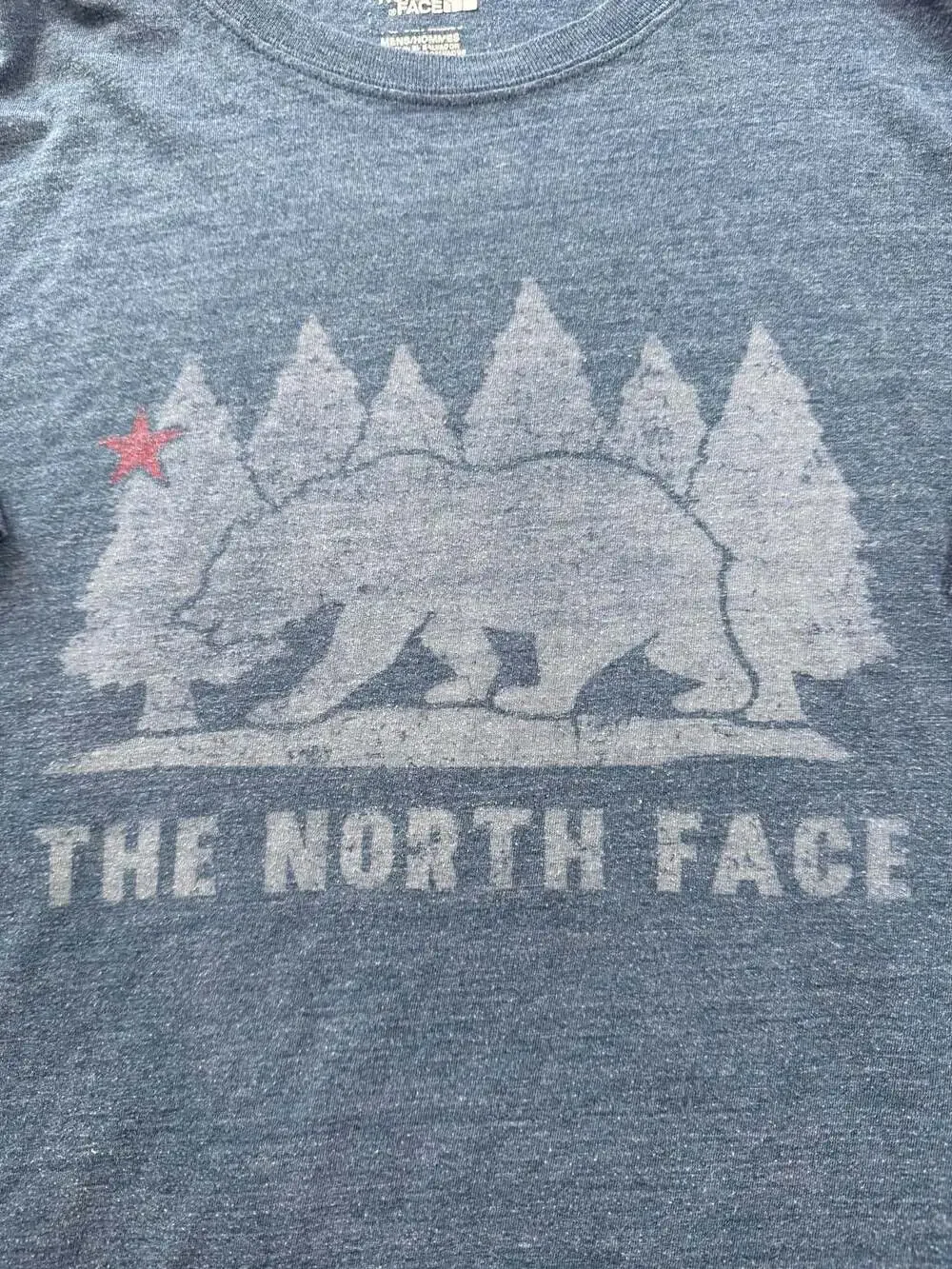 The North Face Men's California Bear Graphic Slim Fit T-Shirt XL